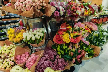 photo dupont fleurs