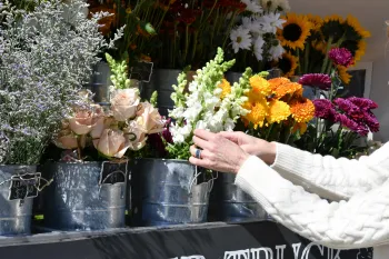 photo au langage des fleurs