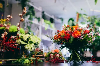 photo d’une fleur à l’autre